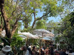-Fern Forest Cafe