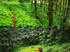 -巍山古城