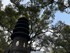 -普陀山风景名胜区-法雨禅寺