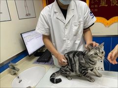 -宠福鑫动物医院(立水桥分院)