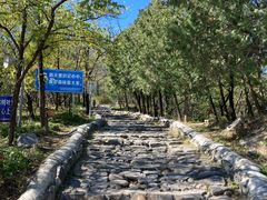 -阳台山自然风景区