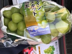 阳光玫瑰-东方鼎信农副产品交易中心