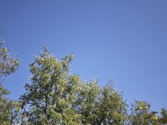 -北平花园·MUA摩造汉堡·北平咖啡(南锣鼓巷胡同店)