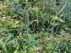 -溪口-滕头旅游景区