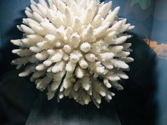 -天津自然博物馆