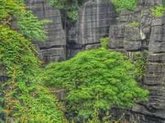 -梭布垭石林景区