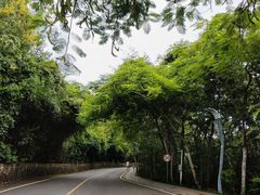 -三亚海棠湾万丽度假酒店