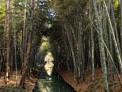 -同里国家湿地公园