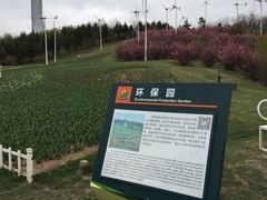 百合塔-沈阳植物园