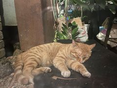 -上楼私房菜(院士路店)
