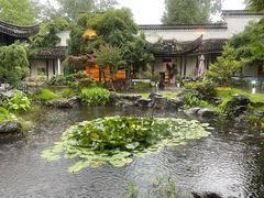 -日出青木