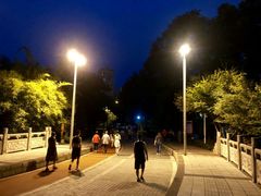-龙头寺公园