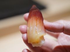 朝鲜鸟贝-鮨鳳