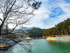-广州市流溪河国家森林公园