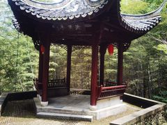 -仙霞关景区