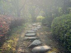 -白马涧龙池景区