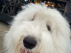 -TrueLove @ Neverland (Husky Cafe)