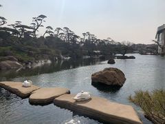 -罗红摄影艺术馆