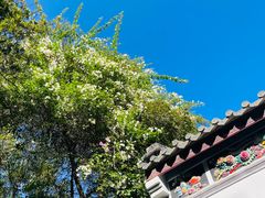 -深圳国际园林花卉博览园