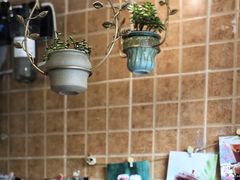 -九秋茶铺(三里屯店)
