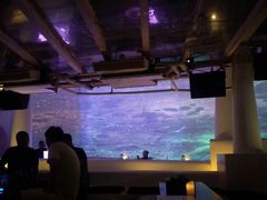 -CLUB VIVA(购物公园店)