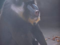 -秦皇岛野生动物园