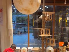 -米乐乖乖猫咪咖啡馆·猫咖(深圳湾后海汇店)