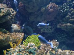 -海合安青岛极地海洋公园