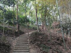 -上海佘山国家森林公园天马山园