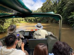 -热带雨林自然公园