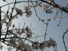-洨河生态公园