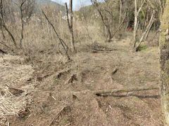 -西湖风景区-江洋畈生态公园