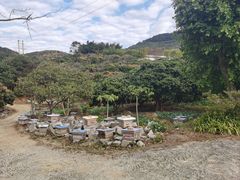-广州市石门国家森林公园