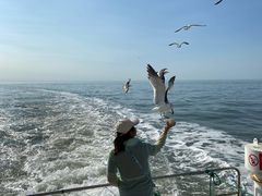 -海驴岛(荣成市)