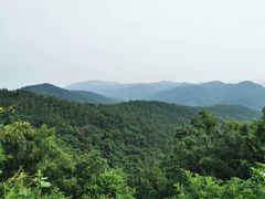 -棒棰岛宾馆景区