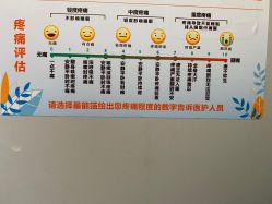 -中国福利会国际和平妇幼保健院(徐汇院区)
