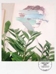 -八佰伴8008星级形象店