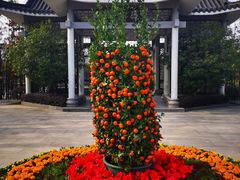 -映月湖公园