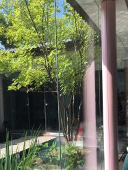 -爱儿美儿童摄影(朝阳公园店)