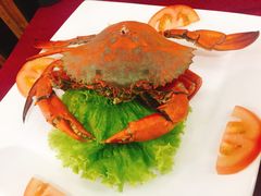 -QQ海鲜餐厅