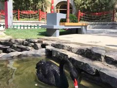 -西安曲江寒窑遗址公园