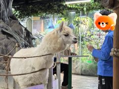 -上海大自然野生昆虫馆(东方明珠·爬宠昆虫探索中心)