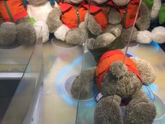 -PAWTOY爪e玩偶店(天兴罗斯福店)