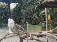 -上海野生动物园