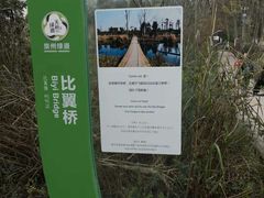 -桤木河湿地公园