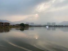 -长兴太湖图影湿地文化园