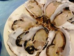 -千岛蚝高压锅生蚝·人参火锅(白云万达店)