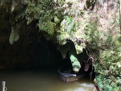 -怀托摩萤火虫洞