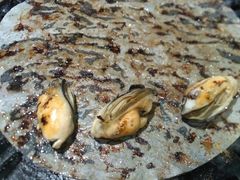 -尚水元休闲自助餐厅(中央城店)