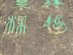 -香雪海